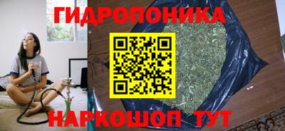 сатива Комсомольск-на-Амуре