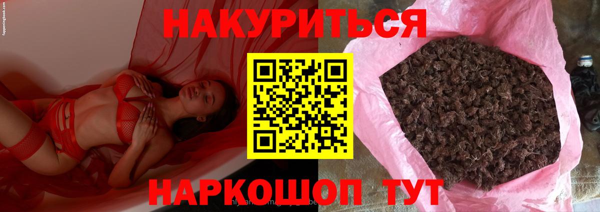 Бошки Шишки Amnesia  Каннабис планчик  Нурлат  Каннабис сатива  Вход с VPN 